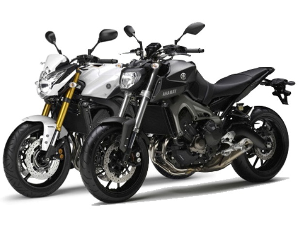 Yamaha FZ8 will continue its career at the sides of the MT-09